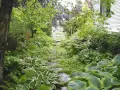 Eine schattige Ecke im Garten gestalten: Ein Weg aus Trittsteinen führt durch üppiges Grün zu einem weißen Gartentor.