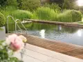 Natürlicher Schwimmteich mit Holzdeck und Edelstahlleiter. Tolle Ideen für einen Schwimmteich im Garten, umgeben von üppiger Vegetation.