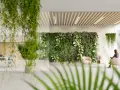 Ein Büro mit biophilem Design: Eine üppige grüne Wand und hängende Pflanzen schaffen eine beruhigende Atmosphäre. Menschen arbeiten und entspannen sich inmitten der Natur.