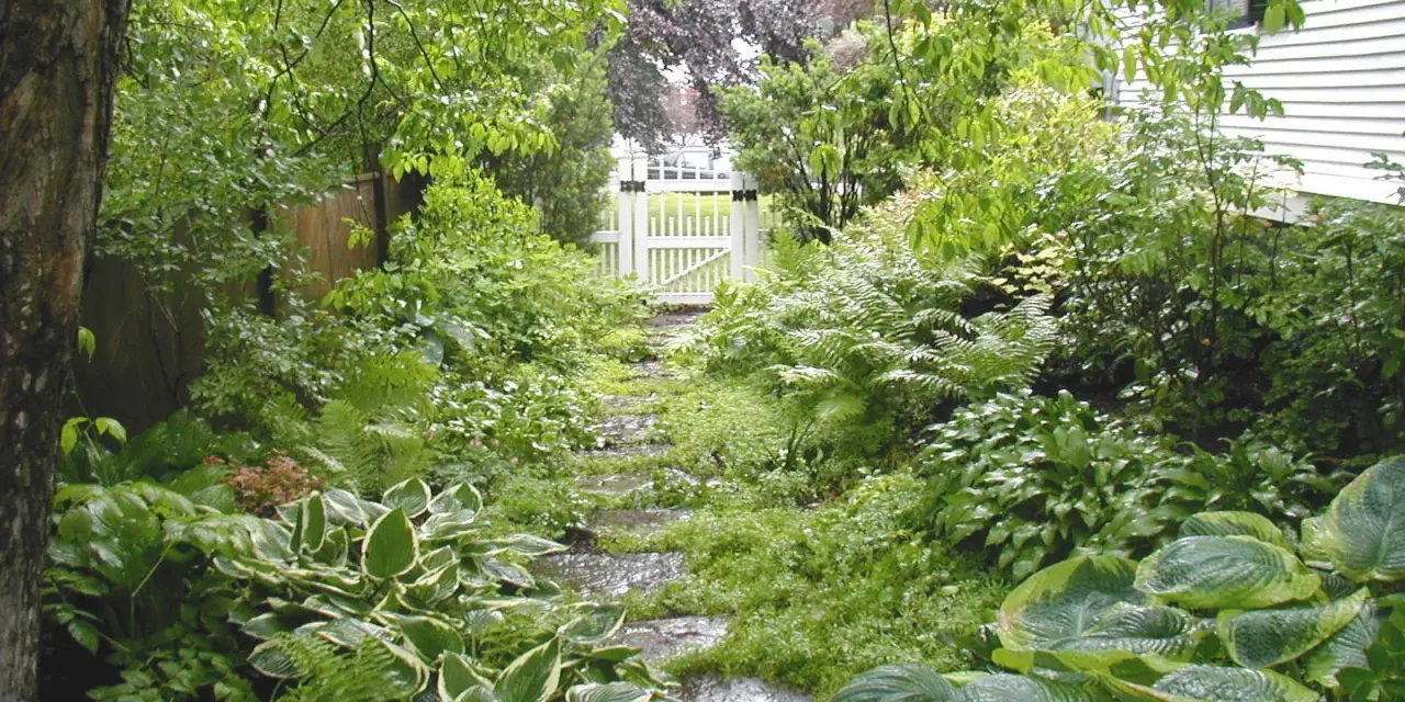 Eine schattige Ecke im Garten gestalten: Ein Weg aus Trittsteinen führt durch üppiges Grün zu einem weißen Gartentor.