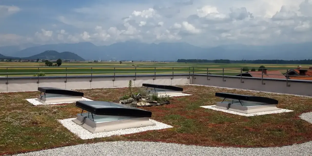 Grünes Flachdach mit leichter Neigung, vier Dachfenstern und Blick auf Berge.
