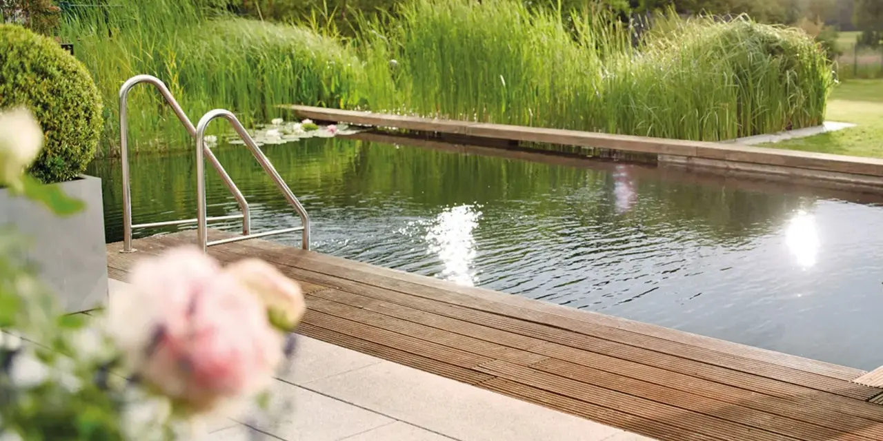 Natürlicher Schwimmteich mit Holzdeck und Edelstahlleiter. Tolle Ideen für einen Schwimmteich im Garten, umgeben von üppiger Vegetation.