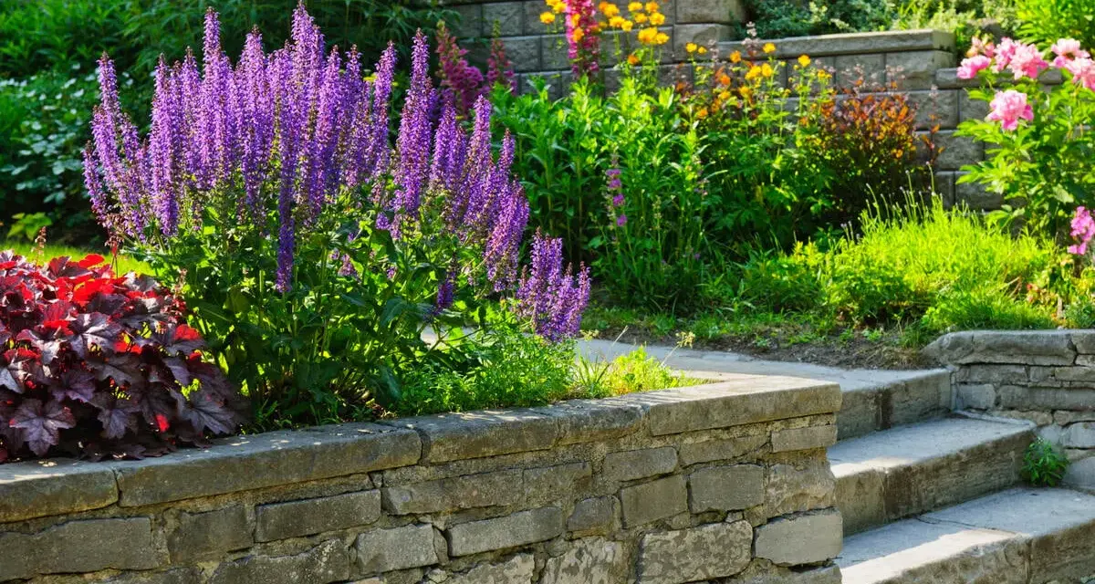 Blühende Stauden und Stufen aus Naturstein beleben die gartengestaltung hanglage. Violette Salbei-Rispen und rote Heuchera bilden einen farbenfrohen Blickfang.