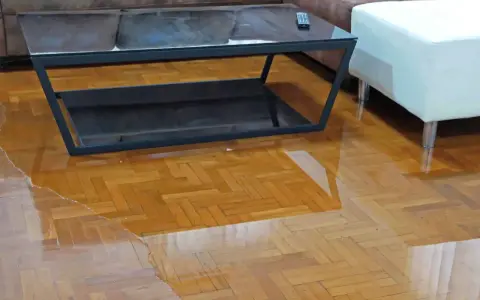 Wasserpfütze auf dem Holzboden, der Parkettboden ist aufgequollen und beschädigt. Ein Couchtisch steht im nassen Bereich.
