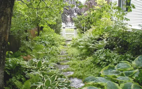 Eine schattige Ecke im Garten gestalten: Ein Weg aus Trittsteinen führt durch üppiges Grün zu einem weißen Gartentor.