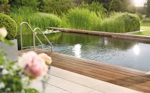 Natürlicher Schwimmteich mit Holzdeck und Edelstahlleiter. Tolle Ideen für einen Schwimmteich im Garten, umgeben von üppiger Vegetation.