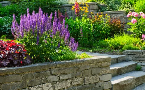 Blühende Stauden und Stufen aus Naturstein beleben die gartengestaltung hanglage. Violette Salbei-Rispen und rote Heuchera bilden einen farbenfrohen Blickfang.