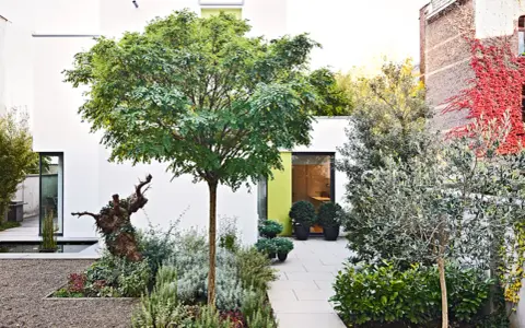 Moderner Vorgarten mit Kies und einer Wegeführung aus Steinplatten. Ein Baum mit knorrigem Stamm und üppiger Krone dominiert die Szene.