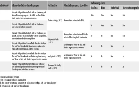 Übersicht der **Gebrauchsklassen Holz**: GK 0-4 zeigen Schutz vor Insekten, Pilzen, Moderfäule und Auswaschung je nach Feuchte und Exposition.