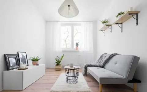 Ein gemütliches Schlauchzimmer einrichten: Helles Sofa, Teppich, Beistelltisch, Pflanzen und Bilder schaffen eine wohnliche Atmosphäre.