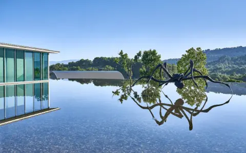 Skulptur einer Spinne spiegelt sich im Wasser vor dem modernen Gebäude des Chateau La Coste.