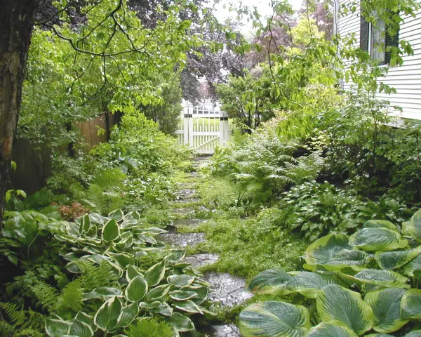 Eine schattige Ecke im Garten gestalten: Ein Weg aus Trittsteinen führt durch üppiges Grün zu einem weißen Gartentor.
