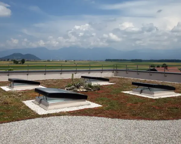 Grünes Flachdach mit leichter Neigung, vier Dachfenstern und Blick auf Berge.