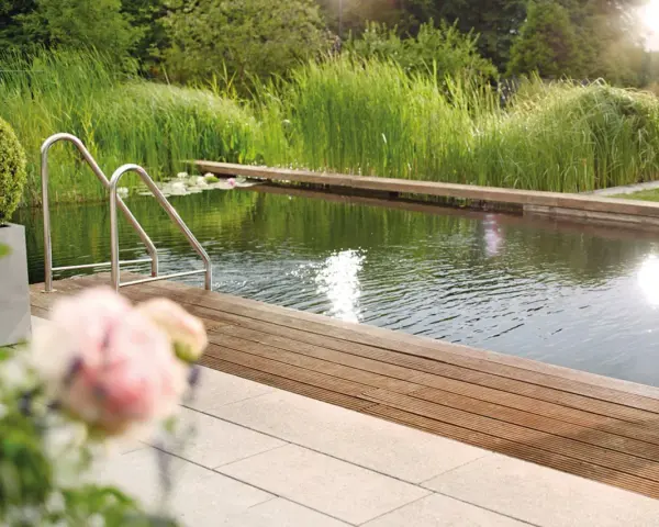 Natürlicher Schwimmteich mit Holzdeck und Edelstahlleiter. Tolle Ideen für einen Schwimmteich im Garten, umgeben von üppiger Vegetation.