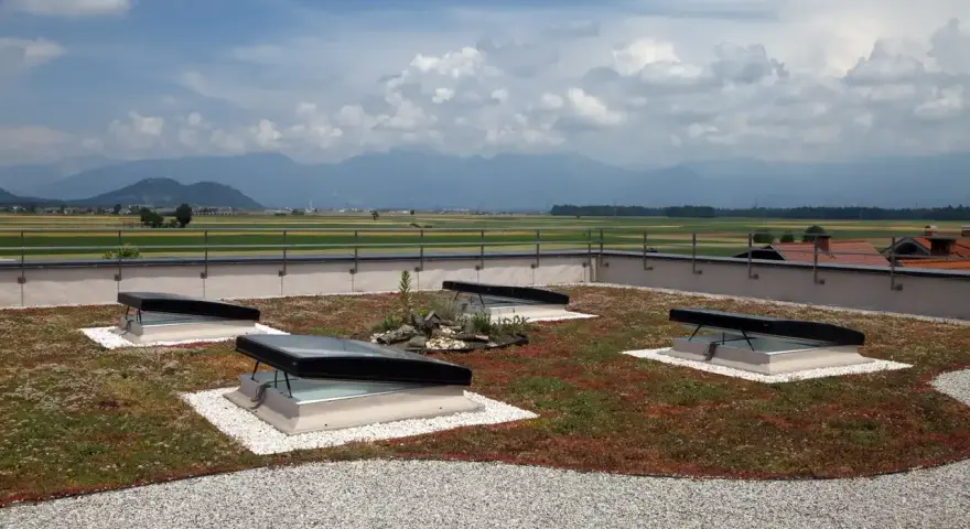 Grünes Flachdach mit leichter Neigung, vier Dachfenstern und Blick auf Berge.