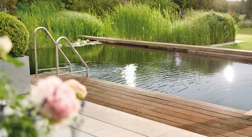 Natürlicher Schwimmteich mit Holzdeck und Edelstahlleiter. Tolle Ideen für einen Schwimmteich im Garten, umgeben von üppiger Vegetation.