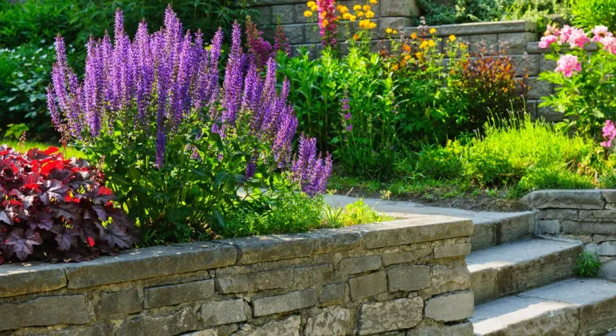 Blühende Stauden und Stufen aus Naturstein beleben die gartengestaltung hanglage. Violette Salbei-Rispen und rote Heuchera bilden einen farbenfrohen Blickfang.