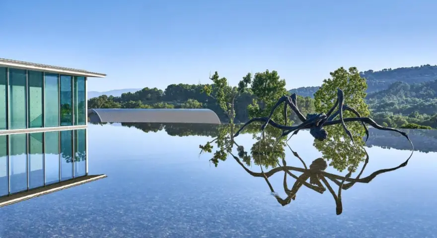 Skulptur einer Spinne spiegelt sich im Wasser vor dem modernen Gebäude des Chateau La Coste.