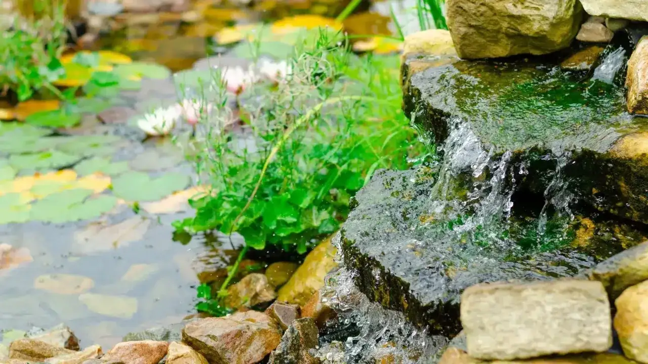 Wasserfall aus Naturstein mit Seerosen und Pflanzen im Gartenteich.