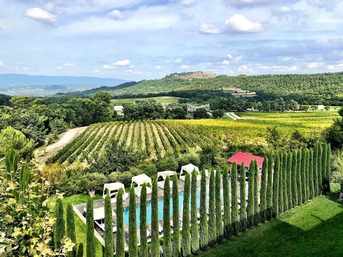Chateau La Coste: Weinberge, Pool mit Cabanas und Zypressenallee vor sanften H&uuml;geln.
