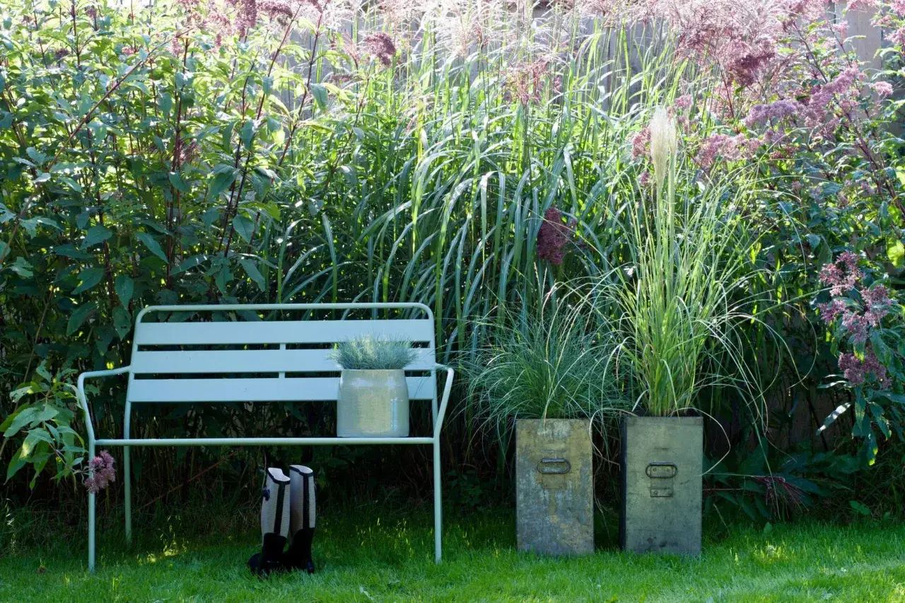 Ein Garten zum Umgestalten: Helle Bank, Stiefel, Gräser und rosa Blüten im Hintergrund.
