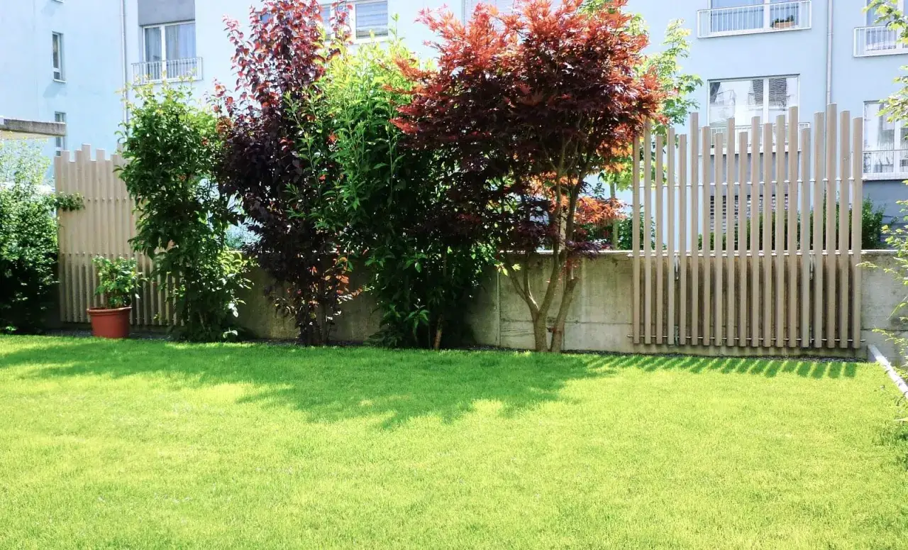 Gr&uuml;ner Rasen vor einer modernen Holzlattenwand, die als Sichtschutz im Garten dient. B&auml;ume mit roten und gr&uuml;nen Bl&auml;ttern spenden Schatten.